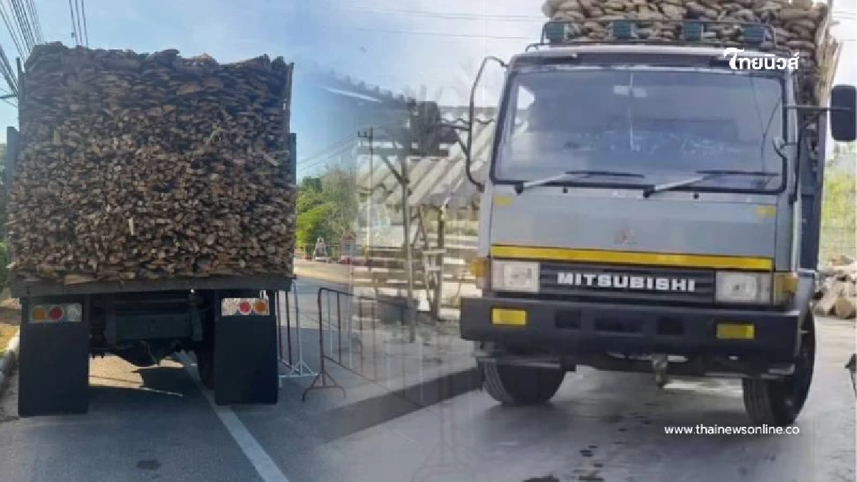 รวบหกล้อแบกไม้ยาง น้ำหนักเกินพุ่ง 2 ตัน สารภาพขับทั้งที่รู้ว่าผิด รวบหกล้อแบกไม้ยาง น้ำหนักเกินพุ่ง 2 ตัน สารภาพขับทั้งที่รู้ว่าผิด