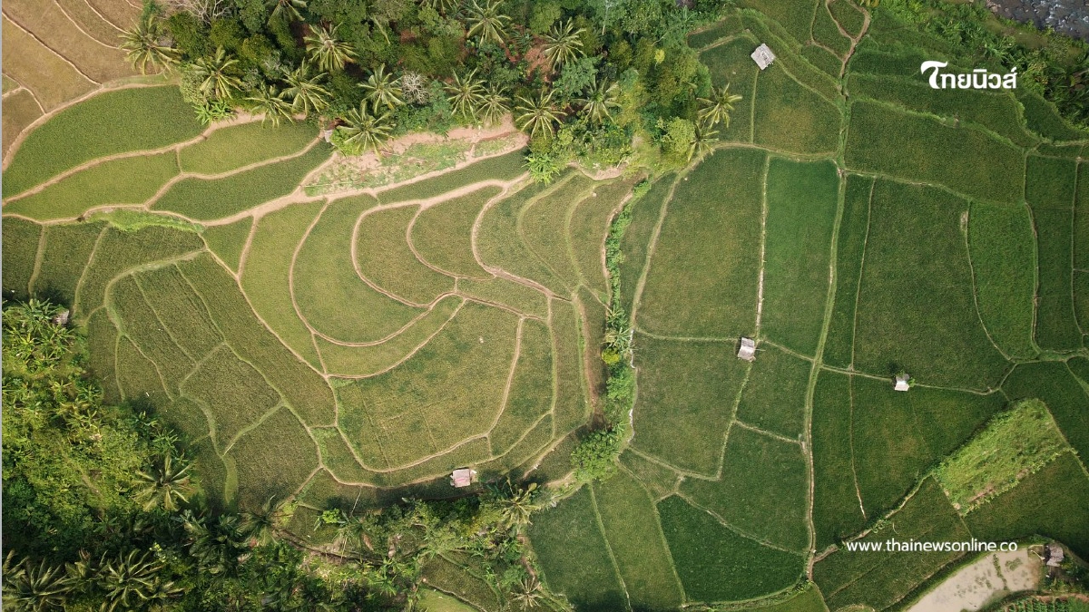 .กรมที่ดินอัปเดตค่าธรรมเนียมรังวัดที่ดินใหม่ มีนาคม 2569.