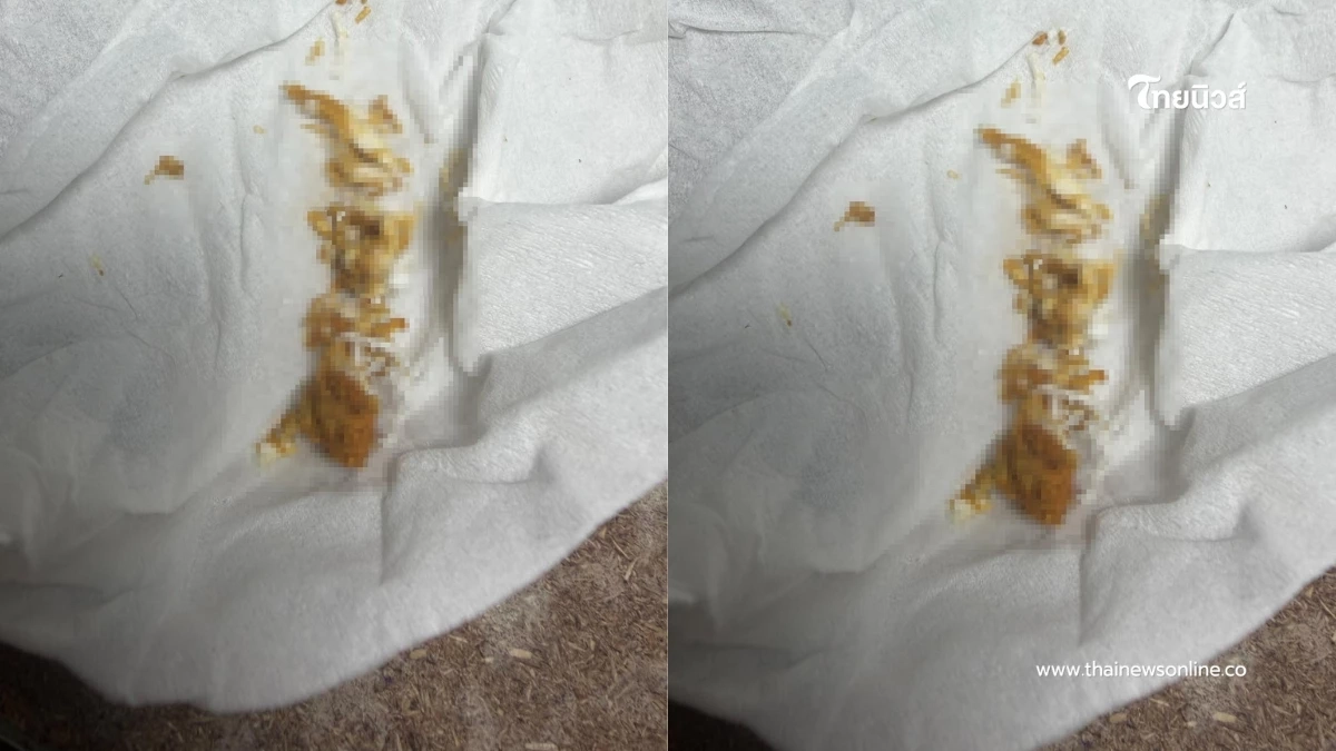 หมอเฉลยแล้ว เคสคนไข้เชื่อมีแมลงไต่ทั้งตัว แท้จริงคืออะไร หมอเฉลยแล้ว เคสคนไข้เชื่อมีแมลงไต่ทั้งตัว แท้จริงคืออะไร