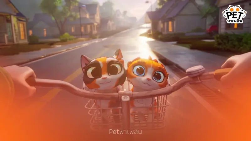 ทาสแมวมีเฮ! เกมใหม่ให้คุณเป็นฮีโร่ช่วยแมวจร รองรับภาษาไทย