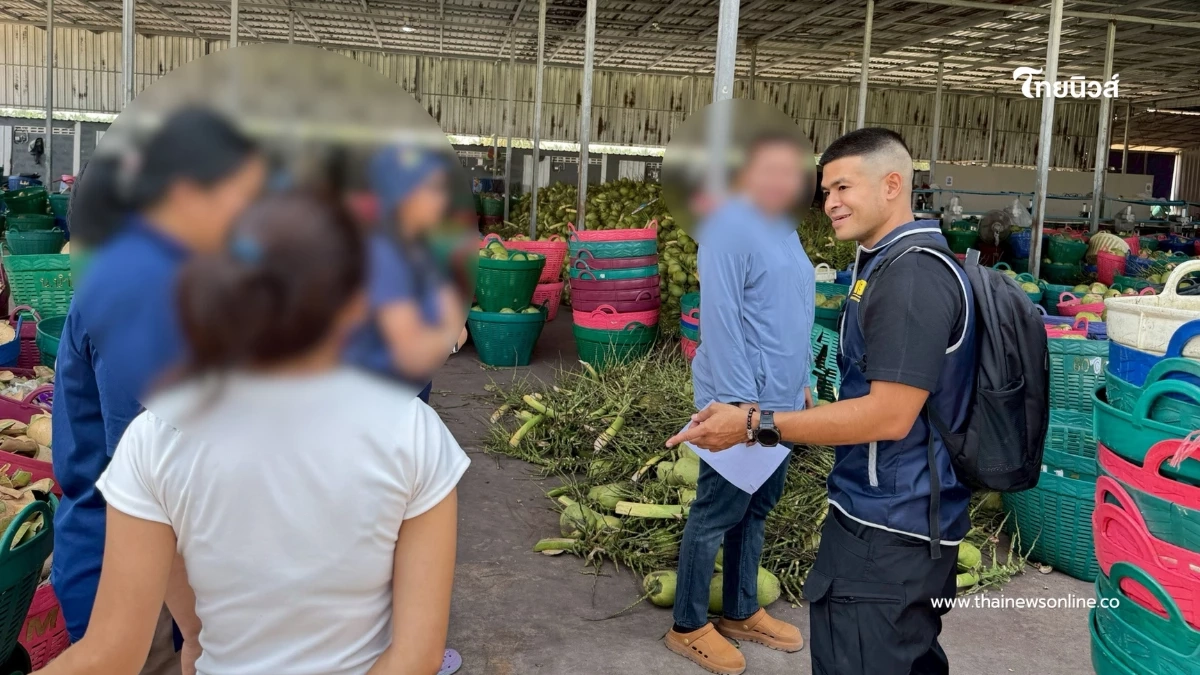 เจอตัวแล้ว "ล้งมะพร้าวนอมินี" บุก 8 จุด บิดราคา ทำเกษตรกรไทยพัง