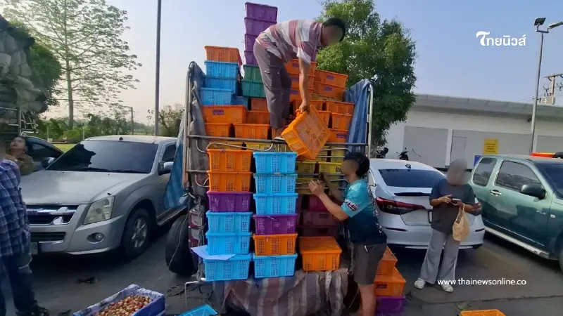 น้ำตาตก พ่อค้าสตอเบอรี่ถูกเทออเดอร์ 8 หมื่น เพราะน้ำมันหมดคาปั๊ม