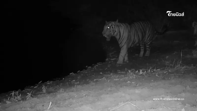 ภาพล่าสุด "ณเดช" โผล่กลางป่าแก่งกระจาน พร้อมจระเข้ไทยหายาก