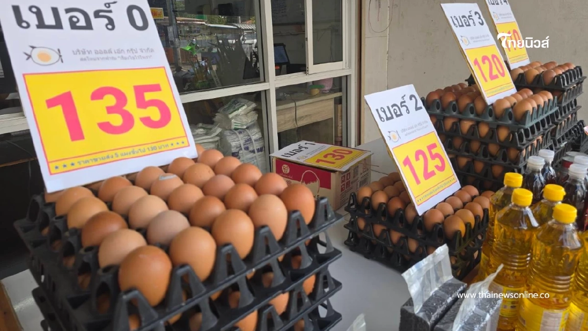 พ่อค้าแม่ค้าบุรีรัมย์โอด ไข่ไก่ปรับราคาขึ้น 2 รอบในเดือนเดียว