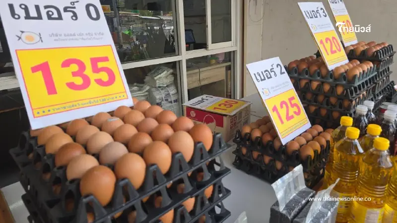 พ่อค้าแม่ค้าบุรีรัมย์โอด ไข่ไก่ปรับราคาขึ้น 2 รอบในเดือนเดียว