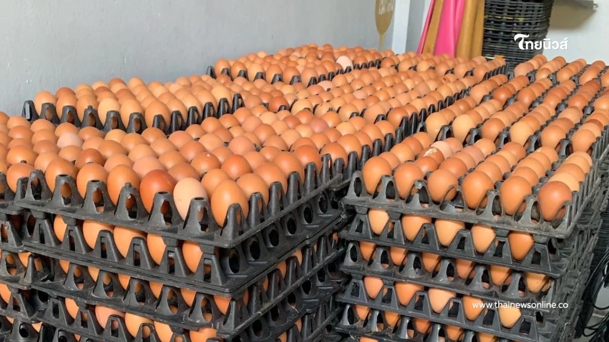 ไข่ไก่ขึ้นราคาอีกแล้ว เพิ่ม 6 บาทต่อแผง เริ่มวันนี้เป็นต้นไป ไข่ไก่ขึ้นราคาอีกแล้ว เพิ่ม 6 บาทต่อแผง เริ่มวันนี้เป็นต้นไป