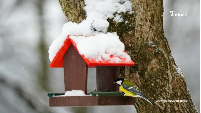 กทม. ลุยติดตั้งบ้านนก "สวนรถไฟ" คืนรังรักกลางกรุง สู้เพื่อธรรมชาติ