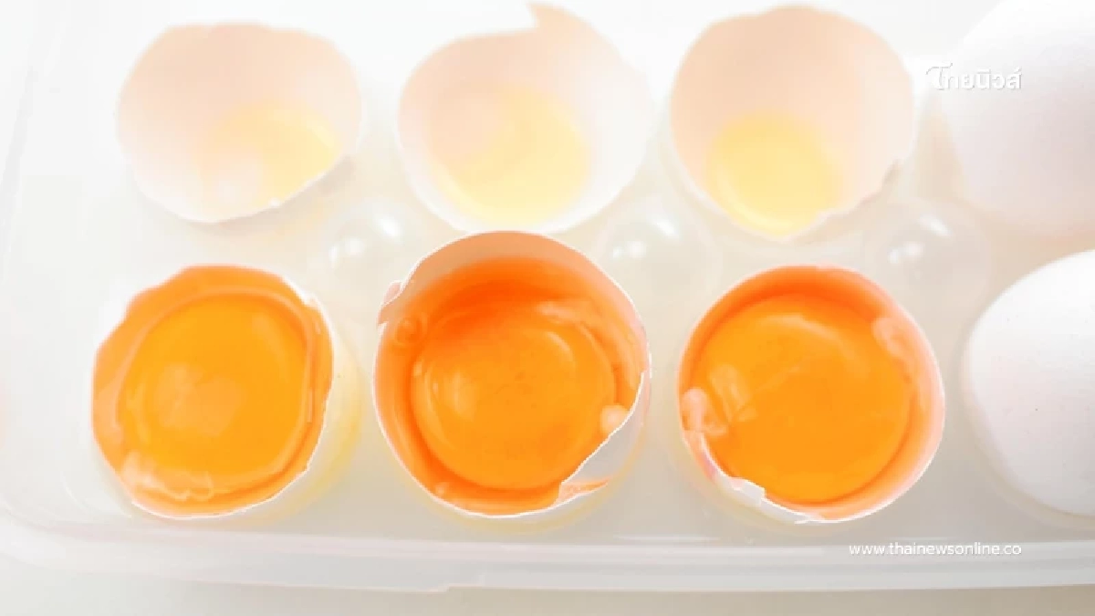 นักเบสบอลดาวรุ่ง กินไข่ดิบเกือบ 900 ฟองใน 1 เดือน ผลลัพธ์ใครจะคิด