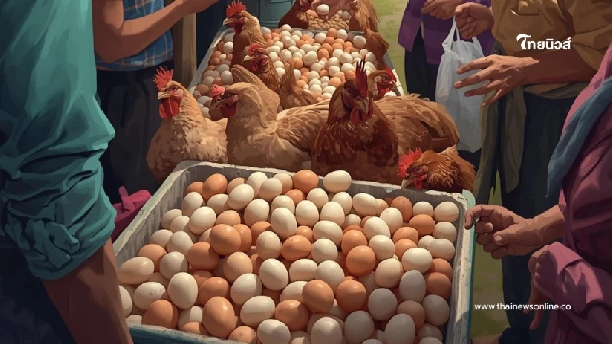 อากาศร้อนจัดทำพิษ ไข่ไก่จ่อขึ้นราคาแผงละ 6 บาท เริ่ม 16 มี.ค. นี้