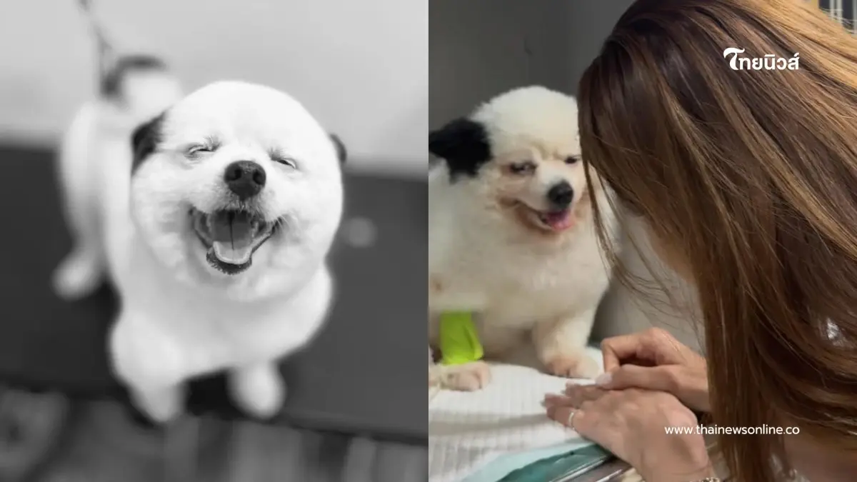 น้ำตาซึม “หญิง รฐา” แจ้งข่าวเศร้า “น้องร่ำรวย” จากไปอย่างสงบ น้ำตาซึม “หญิง รฐา” แจ้งข่าวเศร้า “น้องร่ำรวย” จากไปอย่างสงบ