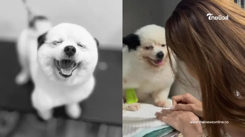 น้ำตาซึม “หญิง รฐา” แจ้งข่าวเศร้า “น้องร่ำรวย” จากไปอย่างสงบ