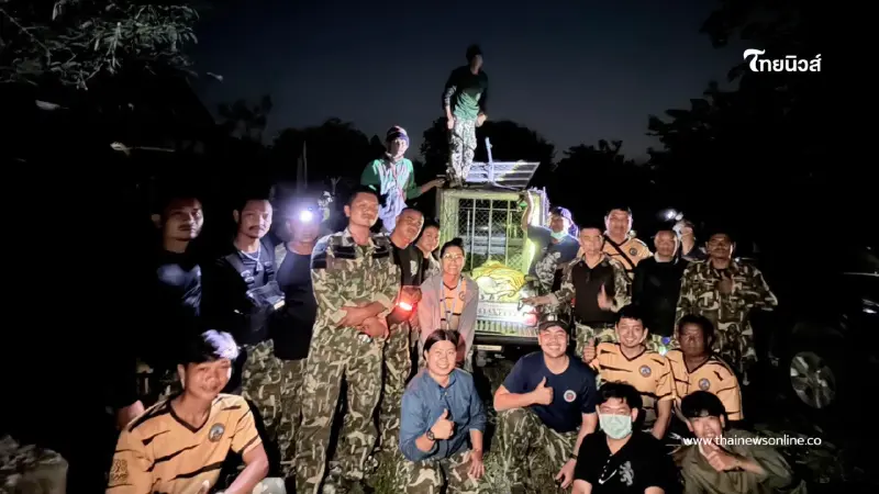 จับ "ปิ่น" เสือโคร่งหลงถิ่นสำเร็จ ย้ายคืนป่าห้วยขาแข้งปลอดภัย จับ "ปิ่น" เสือโคร่งหลงถิ่นสำเร็จ ย้ายคืนป่าห้วยขาแข้งปลอดภัย