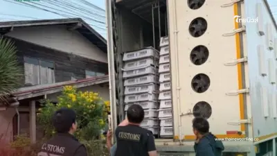 ยึดลูกไก่เถื่อน 3.6 หมื่นตัว คามุมนิคมคำสร้อย มูลค่ากว่าครึ่งล้าน ยึดลูกไก่เถื่อน 3.6 หมื่นตัว คามุมนิคมคำสร้อย มูลค่ากว่าครึ่งล้าน