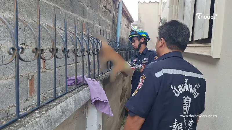 วินาทีชีวิต! แมวส้มเคราะห์ร้ายร่วงตกหลังคาถูกเหล็กเสียบ