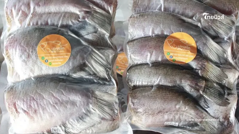 ขึ้นทะเบียน ปลาสลิดบ้านแพ้ว สินค้า GI น้องใหม่จังหวัดสมุทรสาคร ขึ้นทะเบียน ปลาสลิดบ้านแพ้ว สินค้า GI น้องใหม่จังหวัดสมุทรสาคร