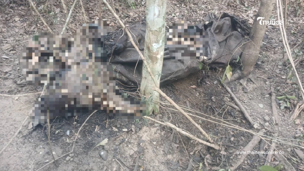 สั่งล่า! มือปืนเหี้ยมยิงกระทิงแก่งกระจานดับคาป่า 2 ตัว