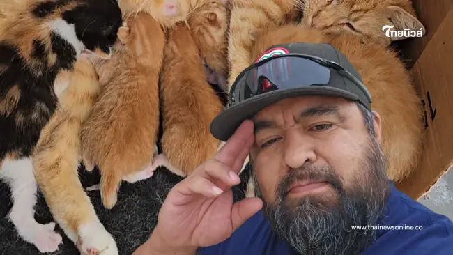 เอ็นดูหนักมาก หนุ่มเท็กซัสรับบทใหม่ มีลูกแมว 8 ตัวในวันเดียว