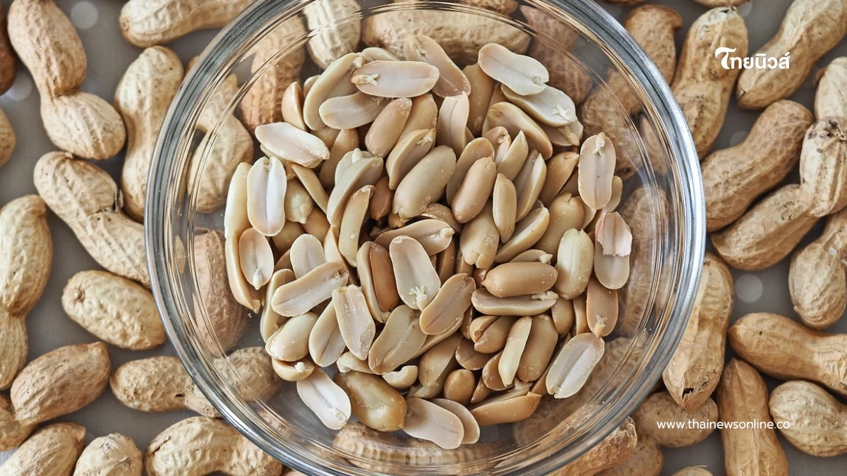 หญิงวัย 50 กินถั่วทุกวัน ดูแลสุขภาพ เจอผลลัพธ์ที่หมอประหลาดใจ หญิงวัย 50 กินถั่วทุกวัน ดูแลสุขภาพ เจอผลลัพธ์ที่หมอประหลาดใจ