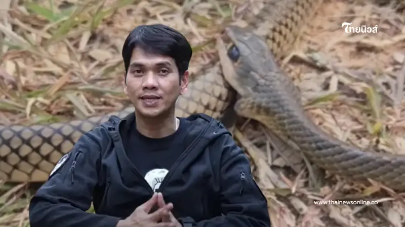 ถึงบางอ้อ นิค อสรพิษวิทยา เฉลยแล้ว งูกัดตัวเอง แท้จริงเพราะอะไร