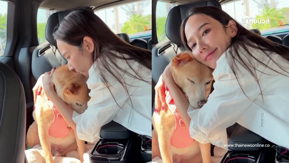 แฟนคลับส่งกำลังใจ อั้ม พัชราภา  หลัง “น้องถั่ว” ต้องสู้มะเร็ง