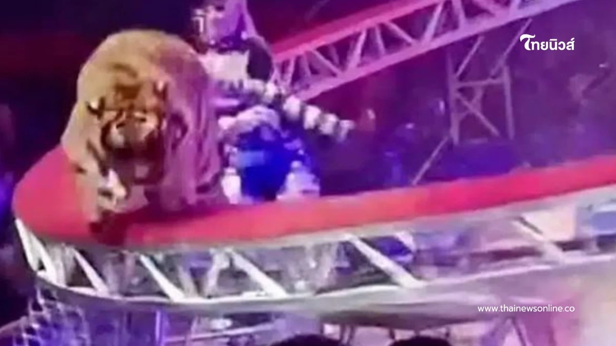 เสือหลุดพุ่งใส่คนดู หลังตาข่ายพังกลางโชว์ เสียงกรีดร้องสนั่น