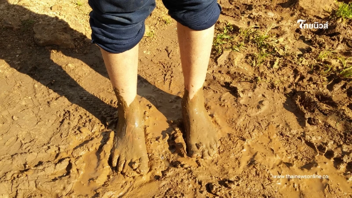 อันตรายใกล้ตัว โรคไข้ดิน ภัยเงียบจากดินและน้ำที่คนทำงานต้องรู้