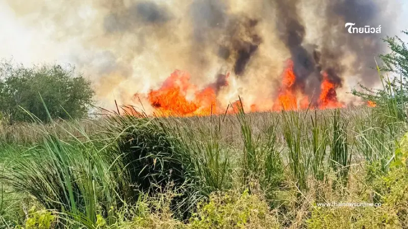 ไฟไหม้หญ้าเลี่ยงเมืองโคราช ควันคลุมถนนหวิดลามบ้านเรือน