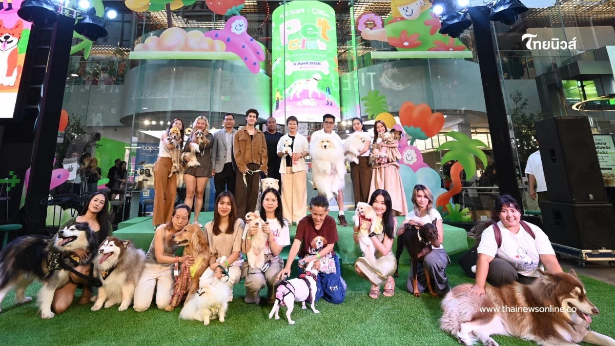 "เจ้านาย จินเจษฎ์" จูงเจ้าสี่ขา มีโชค เดินพรมเขียวสร้างรอยยิ้มในงาน AIS SIAM "PET CLUB" "เจ้านาย จินเจษฎ์" จูงเจ้าสี่ขา มีโชค เดินพรมเขียวสร้างรอยยิ้มในงาน AIS SIAM "PET CLUB"