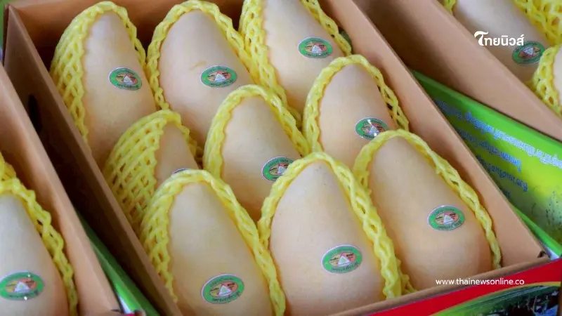 หวานสองต่อ มะม่วงบ้านแฮด GI ขอนแก่น ขึ้นโต๊ะงานแต่ง "ณเดชน์ ญาญ่า"