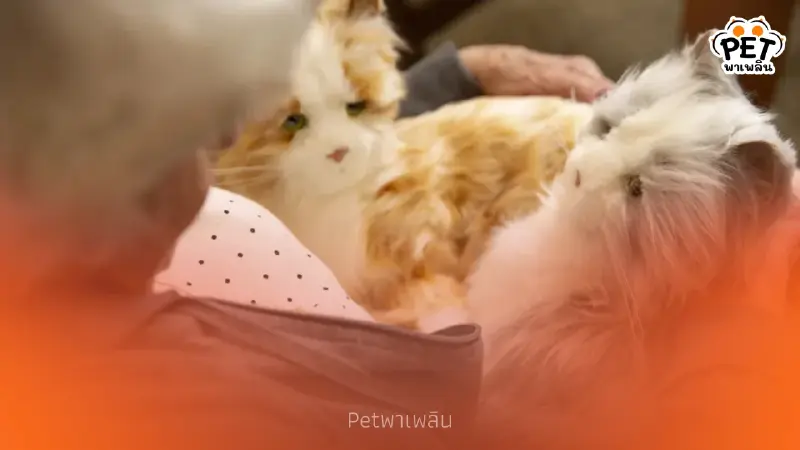 เทรนด์หุ่นยนต์สัตว์เลี้ยง นวัตกรรมบำบัดใจผู้สูงวัยและเด็ก