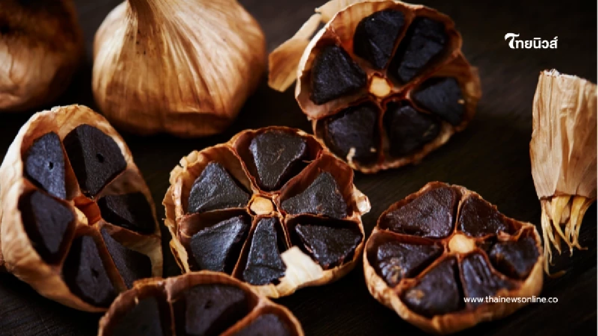 เช็กก่อนกิน กระเทียมดำ สารต้านอนุมูลอิสระสูง แต่ต้องมีลิมิต เช็กก่อนกิน กระเทียมดำ สารต้านอนุมูลอิสระสูง แต่ต้องมีลิมิต