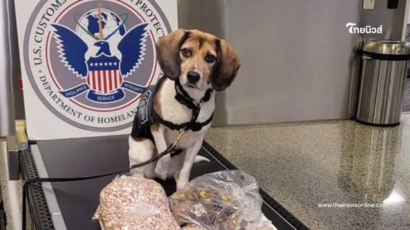 เจ้าโคโค่ K9 จมูกไว ตรวจเจอพัสดุชุดใหญ่ ยึดเกลี้ยงแต่มีข้อยกเว้น