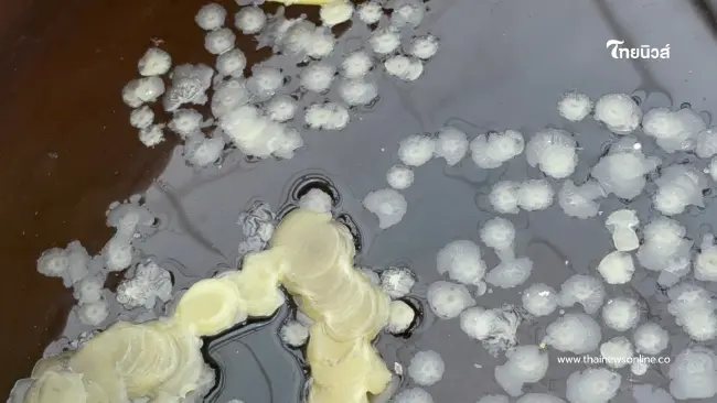 ฮือฮา! เลขเด็ดน้ำตาเทียน อ่างทอง พิธีไหว้ครูอาจารย์สรณ์