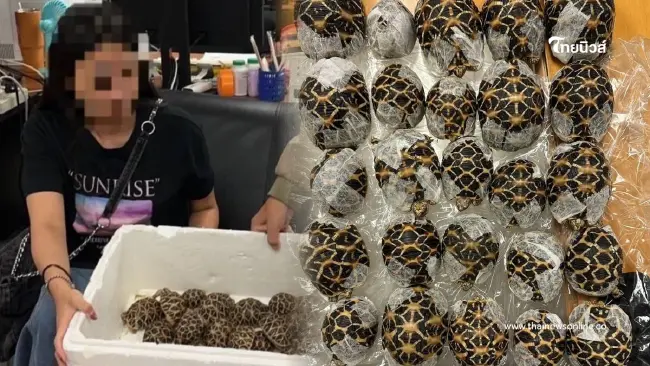 โป๊ะคาสุวรรณภูมิ สาวไต้หวันพิรุธ เรียกตรวจเจอเต็มๆ แปะไว้ตามตัว