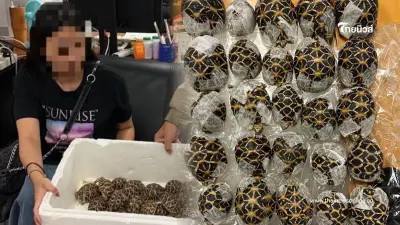 โป๊ะคาสุวรรณภูมิ สาวไต้หวันพิรุธ เรียกตรวจเจอเต็มๆ แปะไว้ตามตัว