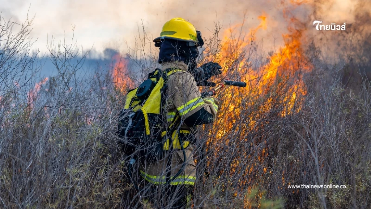 วิกฤตไฟไหม้หญ้า กทม. 4 เดือนทะลุพันครั้ง หนองจอกแชมป์เหตุสูงสุด