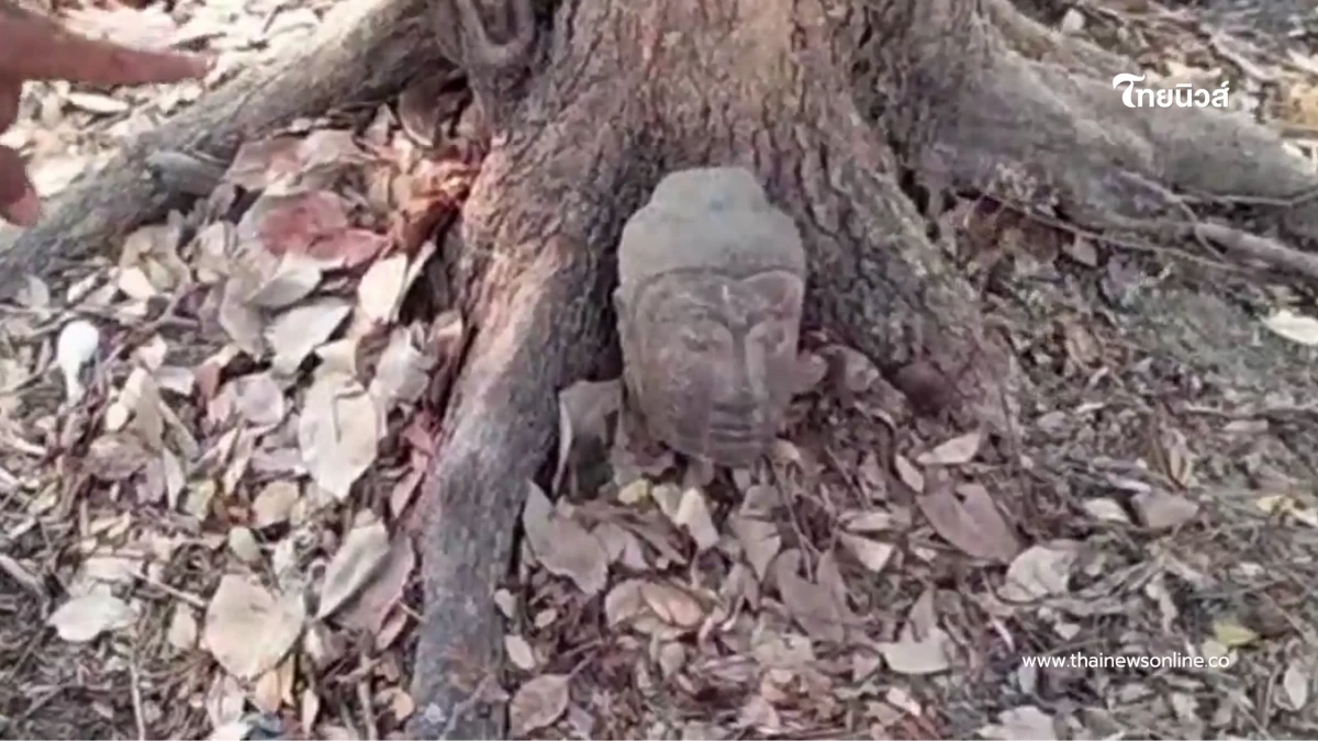 พบเศียรพระโบราณ 100 ปีถูกตัดทิ้งหลังวัดมหาธาตุ คาดคนร้ายเจอดี พบเศียรพระโบราณ 100 ปีถูกตัดทิ้งหลังวัดมหาธาตุ คาดคนร้ายเจอดี