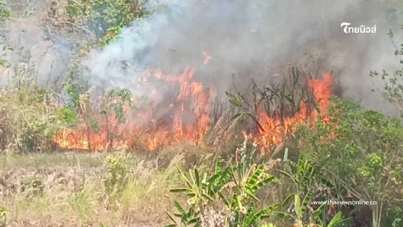 เมืองเลยวิกฤต! ค่าฝุ่น PM 2.5 พุ่งระดับแดงต่อเนื่อง 5 วันรวด