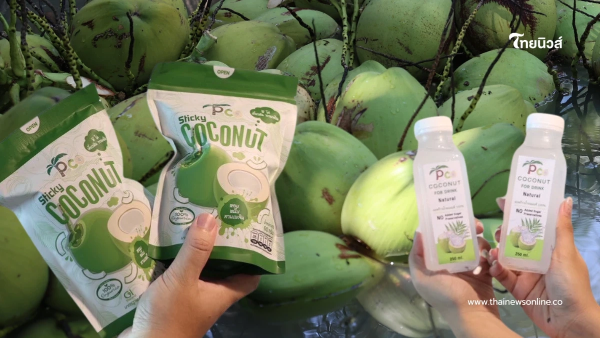 "ดอยคำ"ผนึก พี วาย ไทยฟรุต แก้วิกฤตมะพร้าวล้นตลาดราชบุรี สร้างความมั่นคงให้เกษตรกร