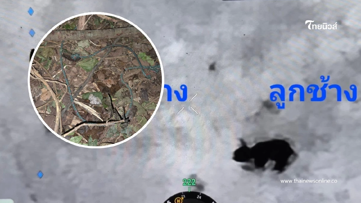 ระทึก! จนท.เข้าช่วย ลูกช้างป่าอ่างฤาไนติดบ่วงดักสัตว์