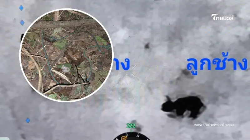 ระทึก! จนท.เข้าช่วย ลูกช้างป่าอ่างฤาไนติดบ่วงดักสัตว์