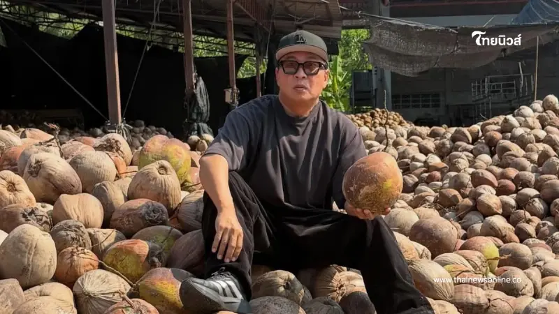 ทุ่มไม่อั้น เปิ้ล นาคร ศิลาชัย เปิดรับซื้อมะพร้าวล็อตใหญ่