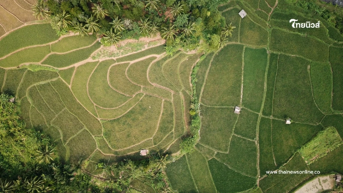 ไม่ต้องจ่ายก้อนเดียว ยืดภาษีที่ดิน 69 ถึง ก.ย. ผ่อนได้ 3 งวด