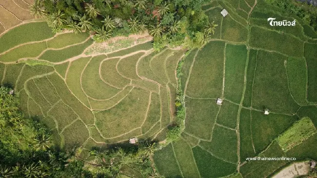 ไม่ต้องจ่ายก้อนเดียว ยืดภาษีที่ดิน 69 ถึง ก.ย. ผ่อนได้ 3 งวด