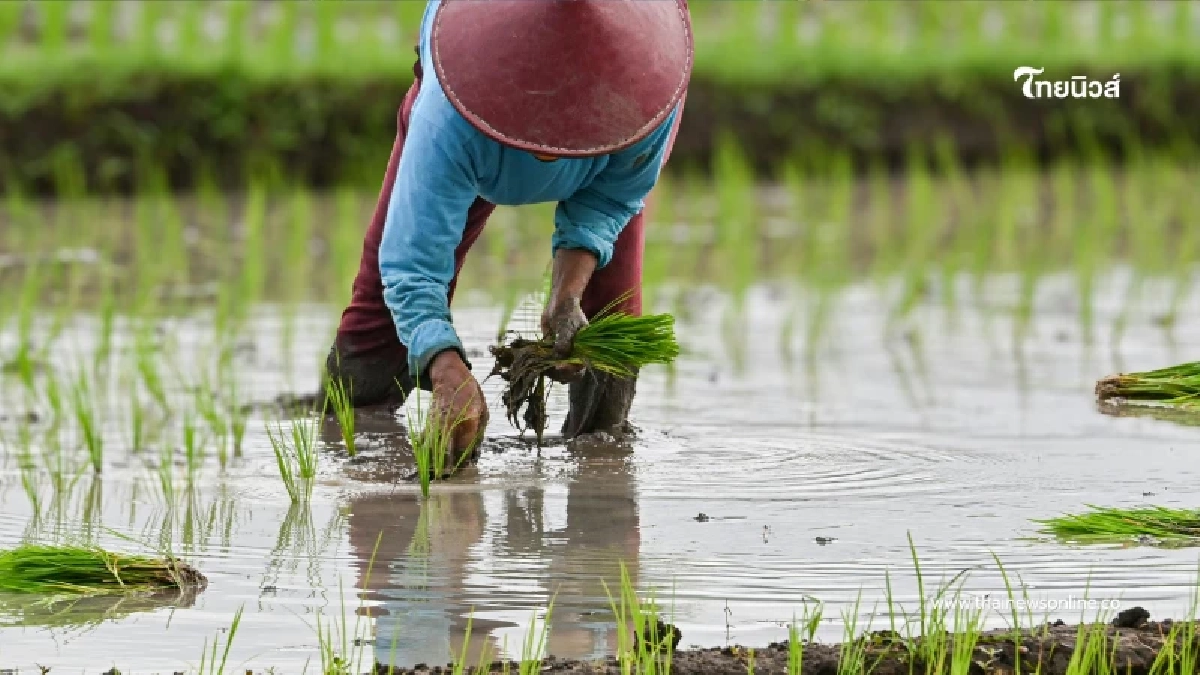 “ไข้ดิน” โรคใกล้ตัวที่มองข้ามไม่ได้ ติดง่ายช่วงหน้าฝน