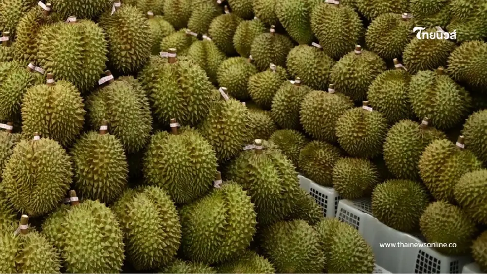 "พาณิชย์"แจงแล้ว กรณีอินฟลูฯชื่อดัง จำหน่ายทุเรียนลูกละ 100