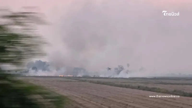 พิษณุโลกวิกฤต! ชาวนายังเผาฟางควันคลุ้ง ค่าฝุ่นพุ่งกระฉูด