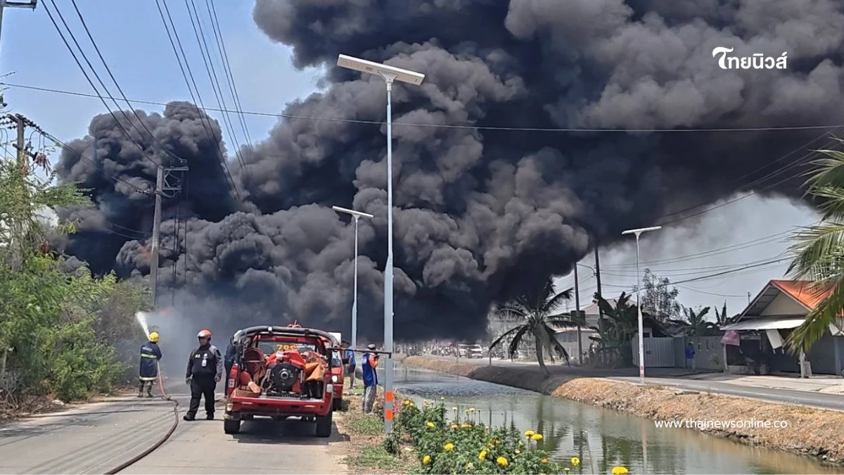 ไฟไหม้ป่าลามเผากองยางหลังเซียงกงรังสิต วอดรถยนต์ 2 คันรวด