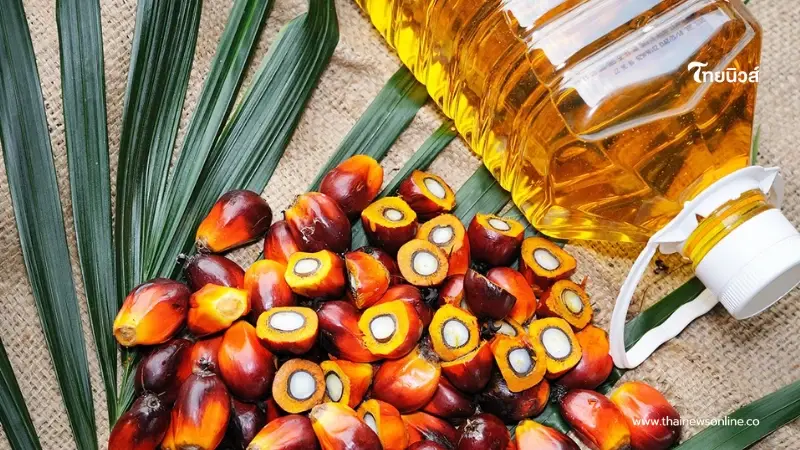 ราชกิจจาฯ ประกาศห้ามส่งออก 'น้ำมันปาล์มดิบ' 1 ปี มีผล 7 เม.ย. 69 ราชกิจจาฯ ประกาศห้ามส่งออก 'น้ำมันปาล์มดิบ' 1 ปี มีผล 7 เม.ย. 69