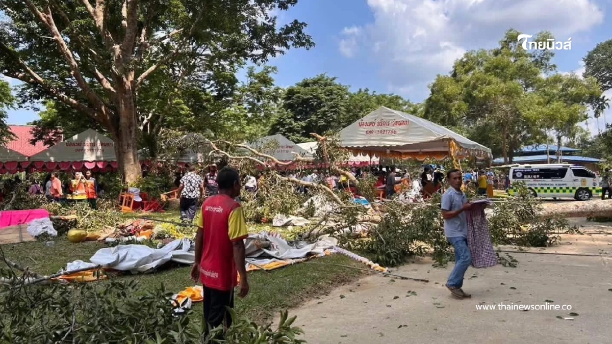 นาทีระทึก! ต้นไม้ร้อยปีถ้ำเขาเงินหักทับเต็นท์บุญ ดับ 2 เจ็บ 9